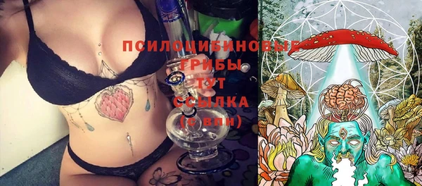 крисы Бугульма