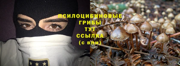 таблы Бородино