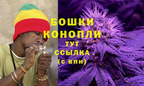 таблы Бородино