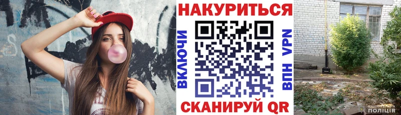 продажа наркотиков  Кириши  Бошки марихуана SATIVA & INDICA 